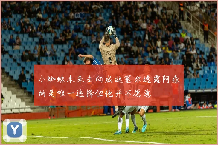 小蜘蛛未来去向成谜塞尔透露阿森纳是唯一选择但他并不愿意