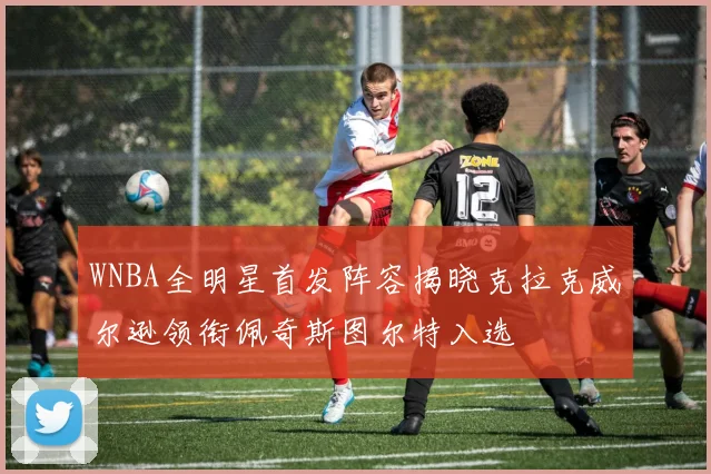 WNBA全明星首发阵容揭晓克拉克威尔逊领衔佩奇斯图尔特入选